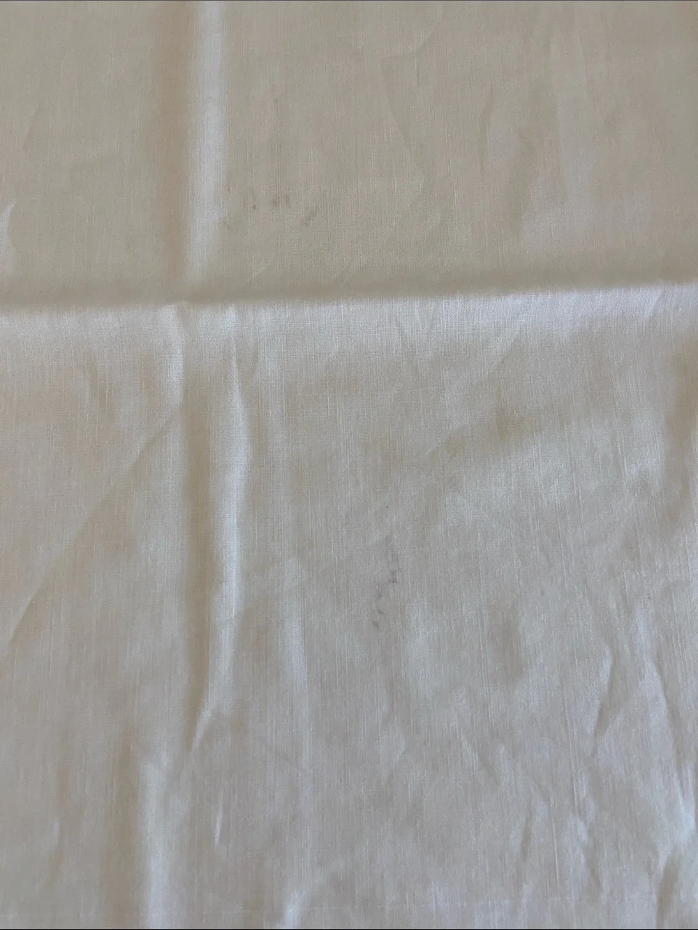 Vintage White Embroidered HIS and HERS Pillow Shams with Blue Floral Accents